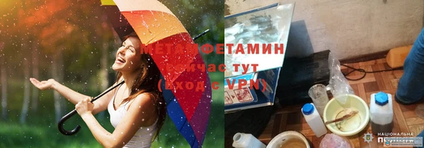 прущие грибы Абинск