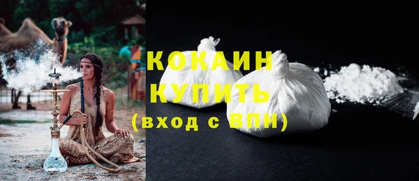 прущие грибы Абинск