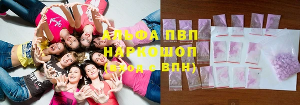 прущие грибы Абинск