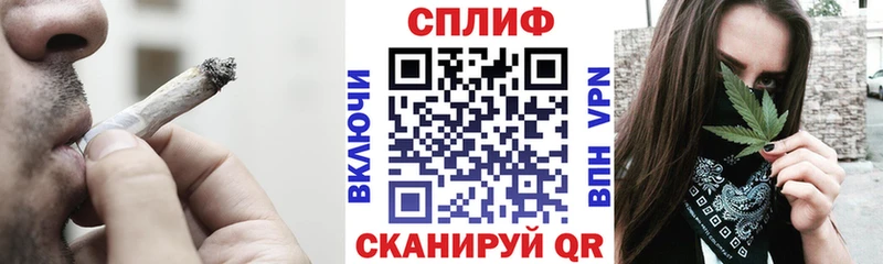 Бошки Шишки планчик Ивантеевка